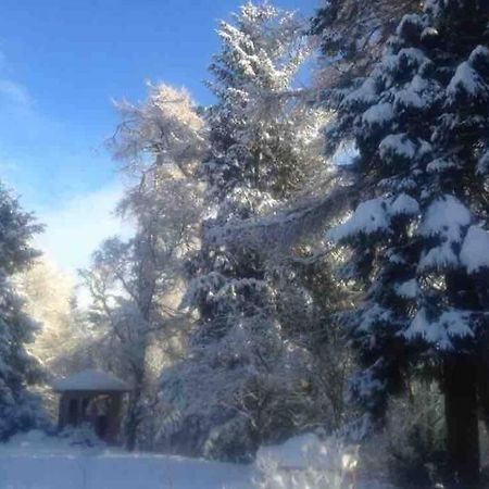 The Beeches Studio, Highlands Of Scotland Newtonmore Buitenkant foto