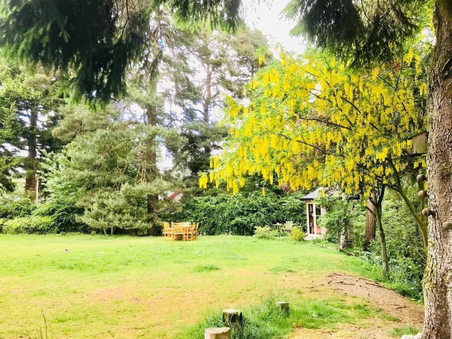 The Beeches Studio, Highlands Of Scotland Newtonmore Buitenkant foto