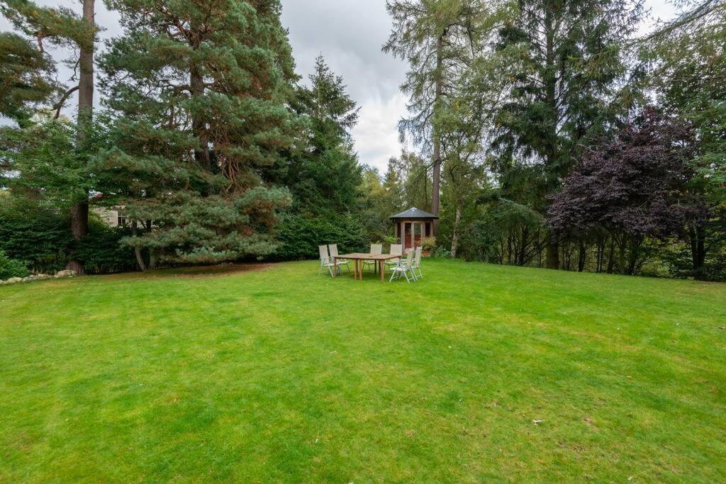 The Beeches Studio, Highlands Of Scotland Newtonmore Buitenkant foto