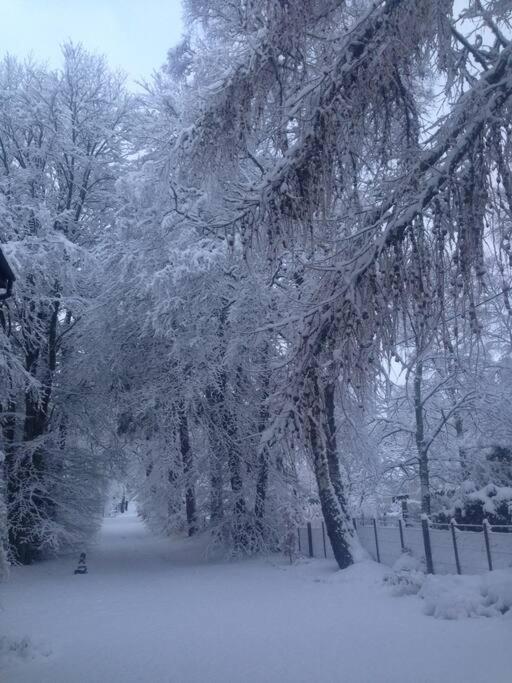 The Beeches Studio, Highlands Of Scotland Newtonmore Buitenkant foto