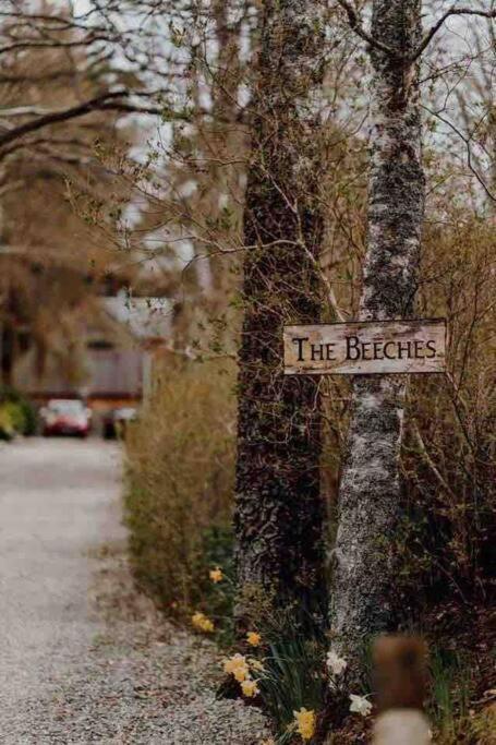 The Beeches Studio, Highlands Of Scotland Newtonmore Buitenkant foto