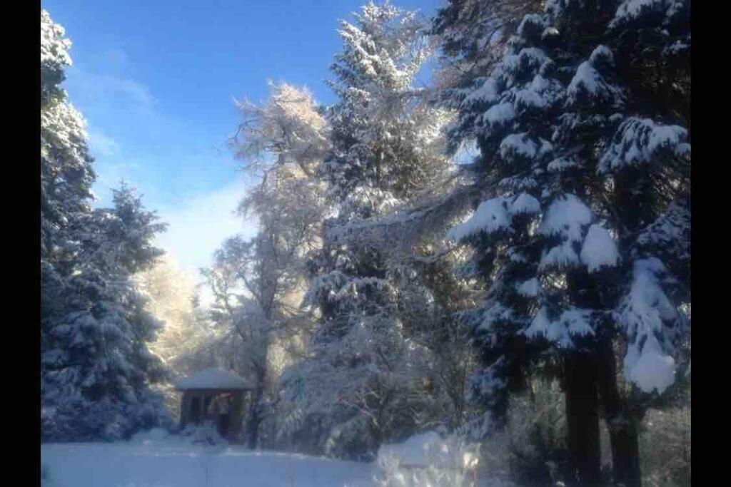 The Beeches Studio, Highlands Of Scotland Newtonmore Buitenkant foto