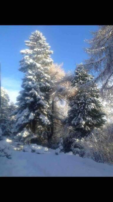 The Beeches Studio, Highlands Of Scotland Newtonmore Buitenkant foto